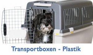 Transportbox-Plastik