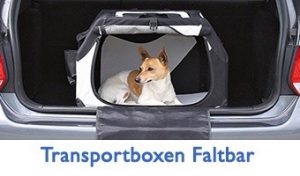 Transportboxen-Faltbar-Kat